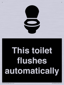 This toilet flushes automatically